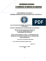 PDF Avance Tesis I Aplicativo Movil para La Busqueda de Mascotas Extraviadas en La Ciudad de Chachapoyas - Compress