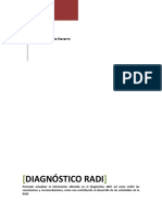 2013 Diagnóstico RADI Final