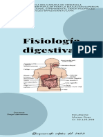 Infografia Fisiología Digestiva