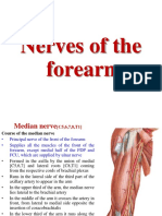 Nerves of The Forearm