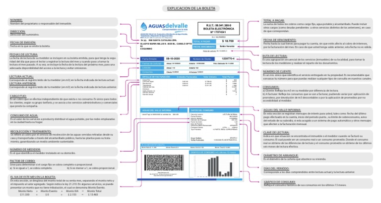 explicaci-n-de-la-boleta-pdf-ingenier-a-ambiental-economias