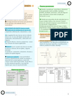 Trauma de Abdomen