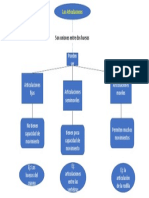 Tarea Anatomia