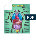 Human Body Grade 6