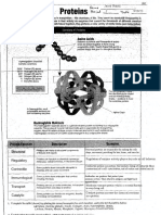 Kami Export - BioProtein WK