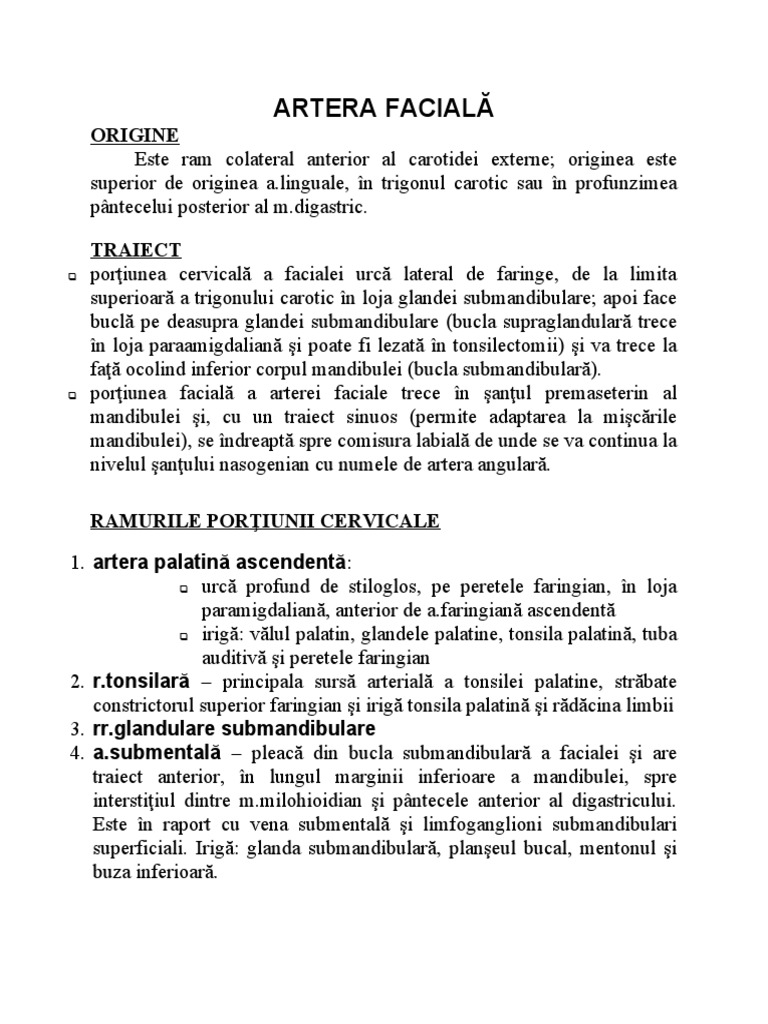 Artera Facială | PDF