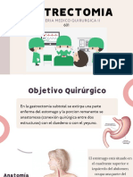 Enfermeria Medico Quirurgica Ii: Gastrectomia