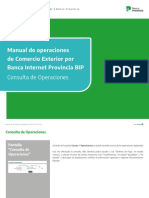 Manual de Operaciones COMEX BIP Banco Provincia Cap 1