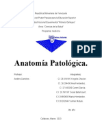 Anatomía Patológica