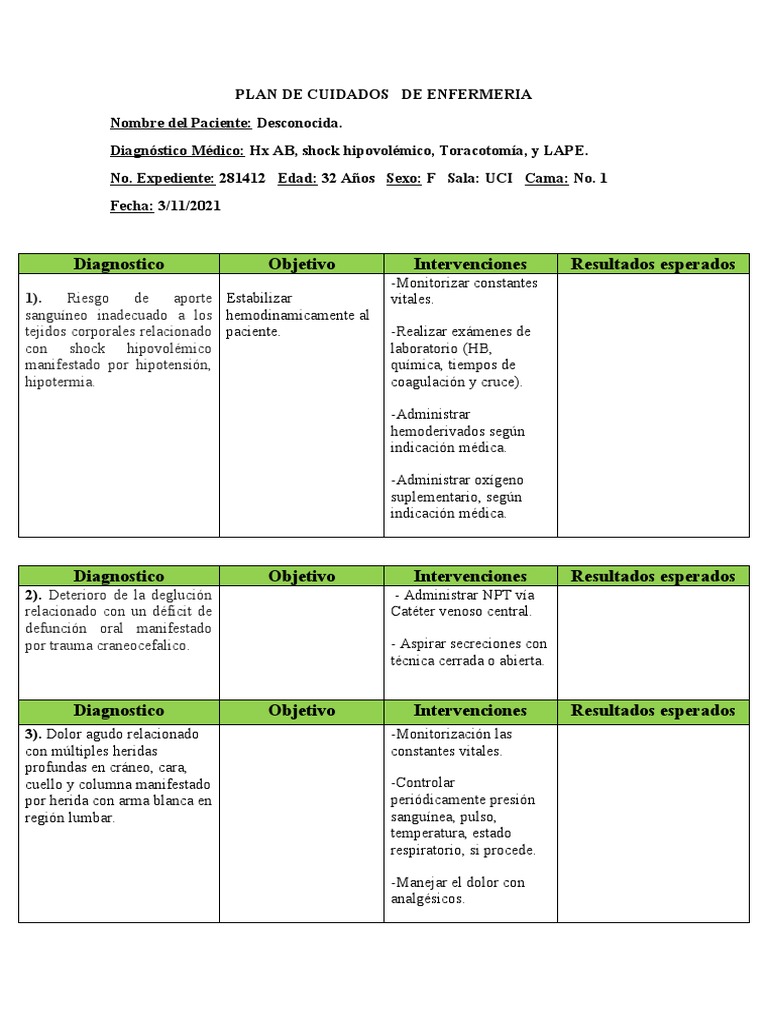 Plan de Cuidados de Enfermeria Uci | PDF | Causas de la muerte ...