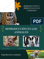 Reproducción Y Herencia en Los Animales: CC By-Nc-Nd