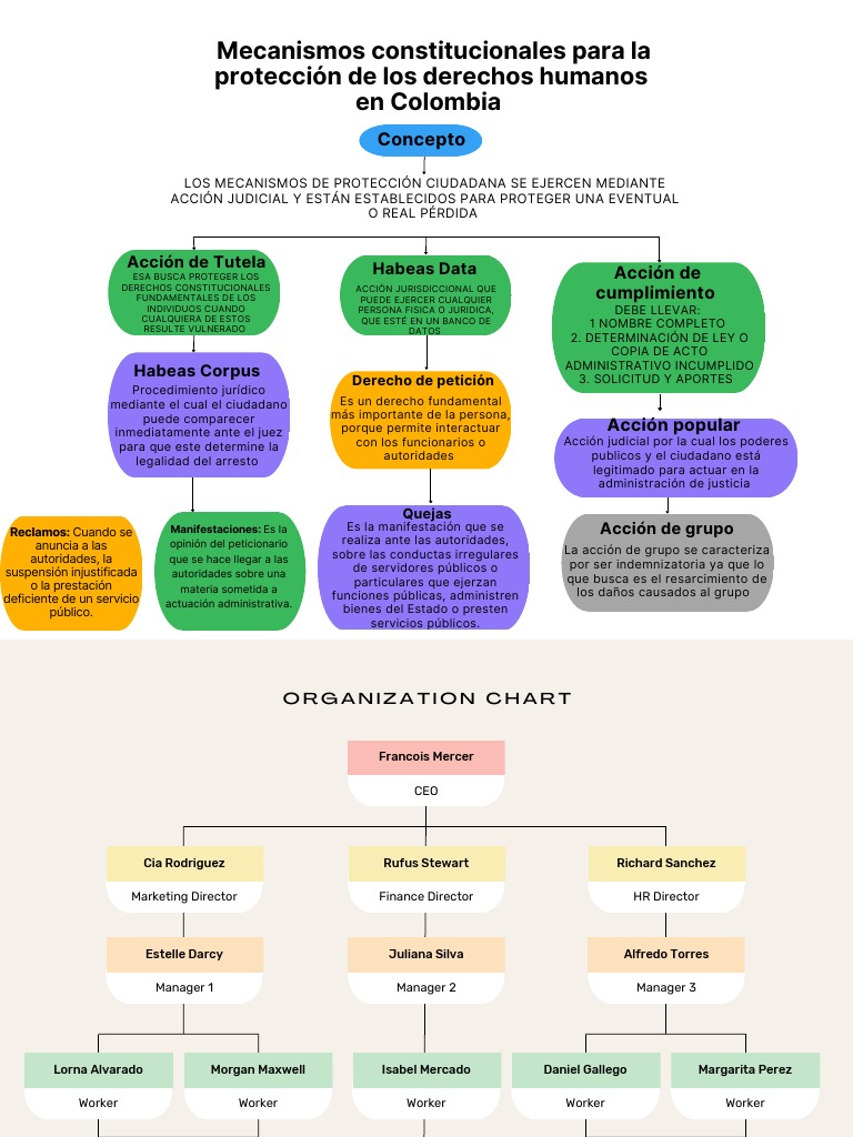 Mecanismos Constitucionales para La Protección de Los Derechos Humanos ...