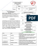 Guia 4 de C.N.N. III Bim.