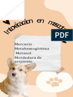 Acáon en Mascotas: Mercurio Metahemoglobina Metanol Mordedura de Serpiente