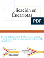 Replicación en Eucariotas 2021