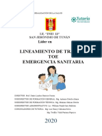 Lineamiento de Trabajo TOE Emergencia Sanitaria: Líder en