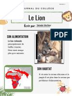 Le Lion: Son Alimentation