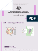 Universidad Autónoma Agraria Antonio Narro División de Ciencias Socioeconómicas
