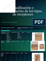 Clasificación y Comparación de Los Tipos de Receptores