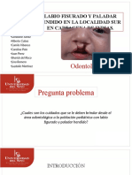 Labio Fisurado Y Paladar Hendido en La Localidad Sur en Cartagena de Indias