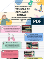 Técnicas de Cepillado