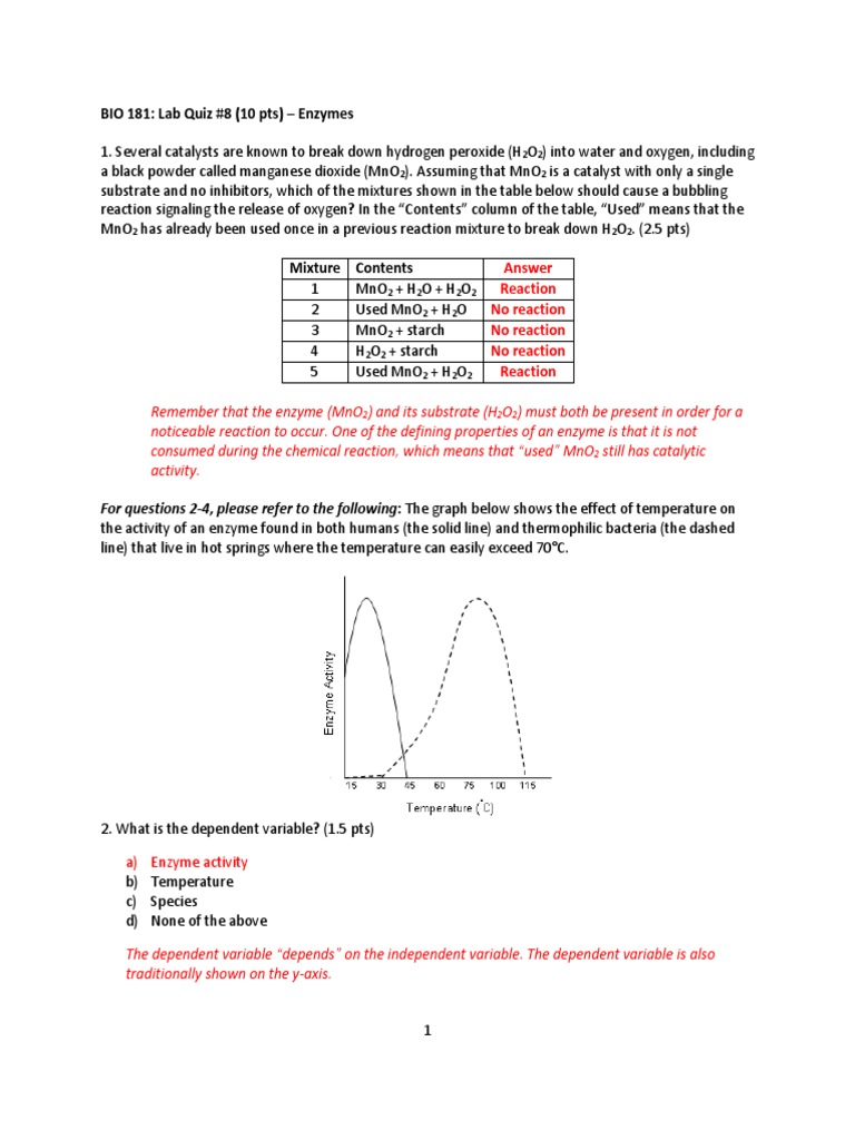 BIO 181 Lab Quiz 8Enzymes Answers PDF Enzyme Hydrogen Peroxide