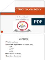 Introduction To Anatomy by Khanoshah Shaltalo