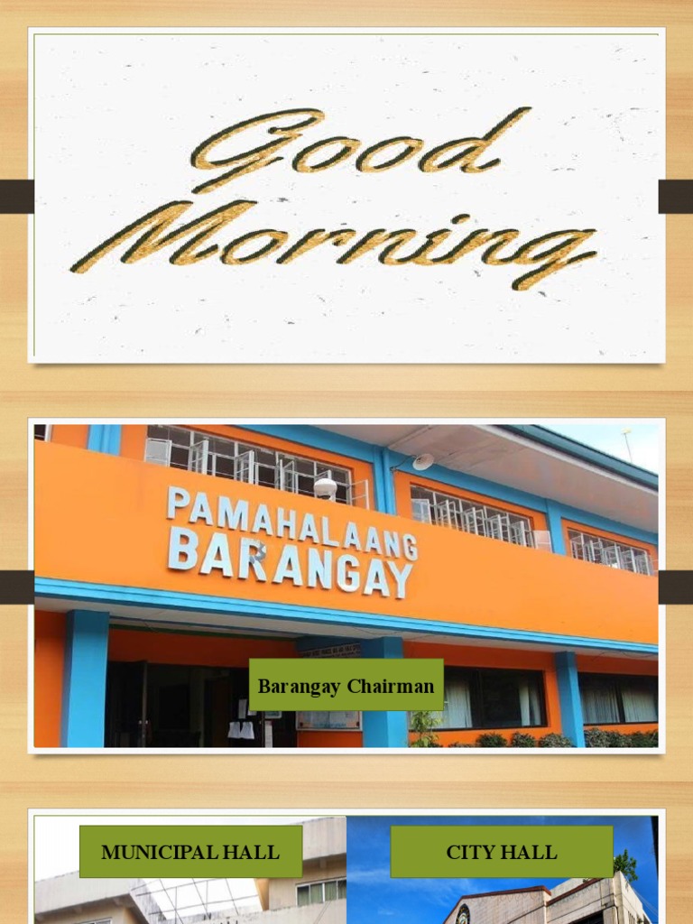 local-government-structure-in-the-philippines-pdf-social
