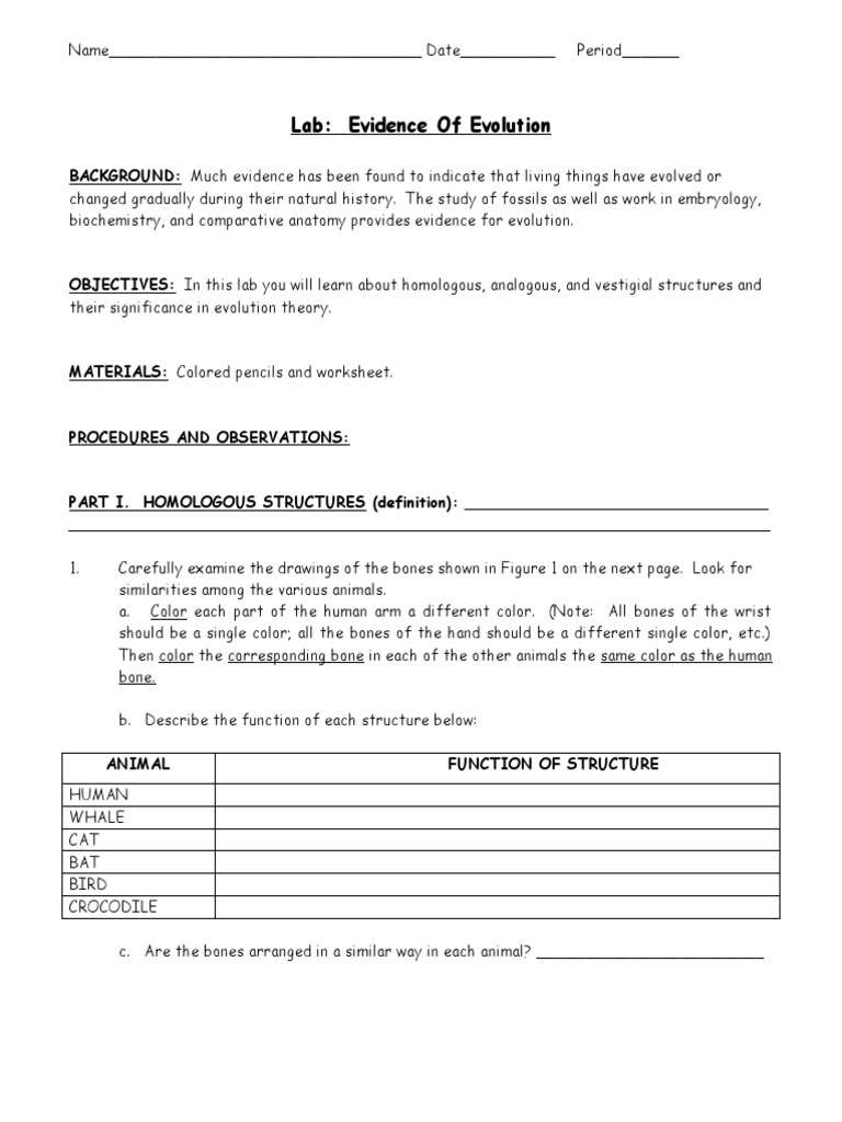 Evidence of Evolution Lab Worksheet | PDF | Homology (Biology ...