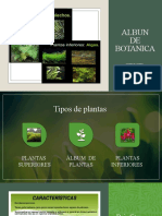 Albun DE Botanica: Integrantes John Misael Rios Mamani Anabriel Valdivia Lopez Wilber Soliz Chambi