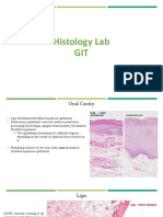 Histology Lab GIT
