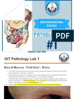 GIT Patholog Lab 1 Esophagus Collection