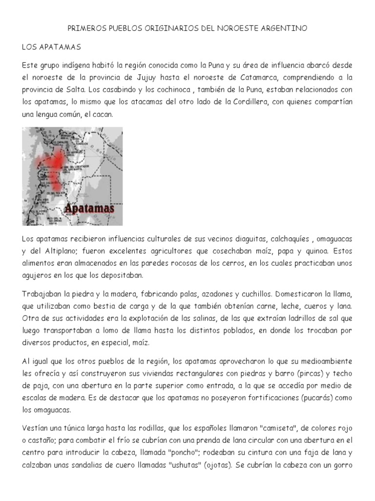 Pueblos Originarios | PDF | Pueblos Indígenas de las Américas | Gente ...