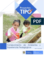 TIPO - Fortalecimiento de Ambientes y Experiencias Pedagogicas