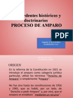 DOCTRINA ACCIÓN DE AMPARO Derecho Procesal Constitucional