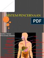 PENCERNAAN Finish Presentasi