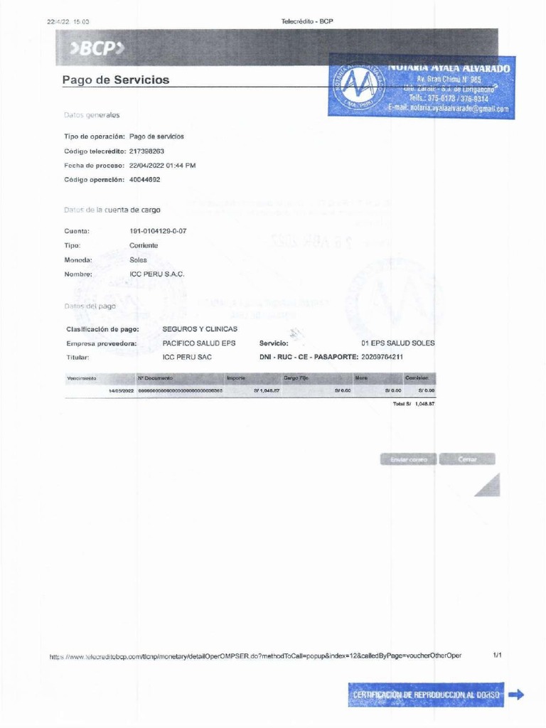 SCTR Salud | PDF