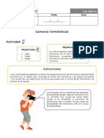 Guia de Aprendizaje Camaras Homoteticas