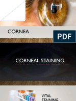 Cornea