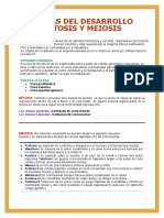 Etapas Del Desarrollo Mitosis Y Meiosis: Ovogènesis