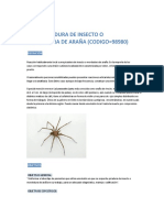 Protocolo Picadura de Insecto o Mordedura de Araña