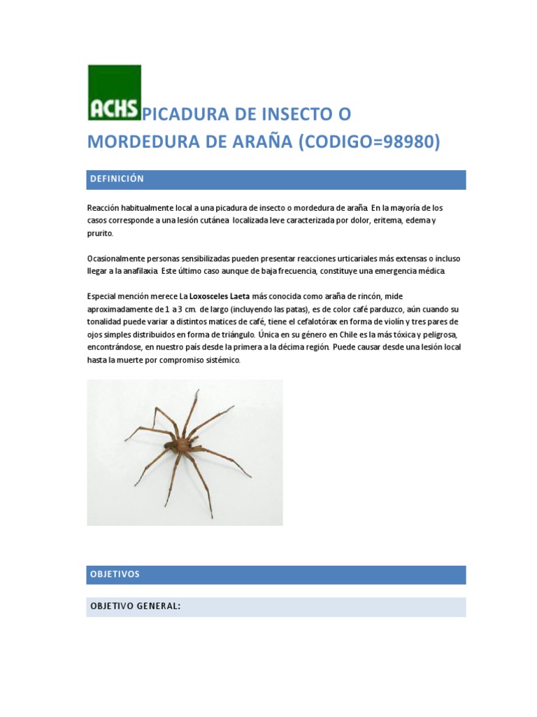 Protocolo Picadura de Insecto o Mordedura de Araña | PDF | Medicina