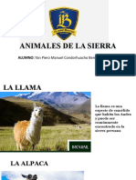 Animales de La Sierra