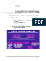 Tema 4: Antihipertensores: Introducción