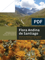 Flora andina de Santiago