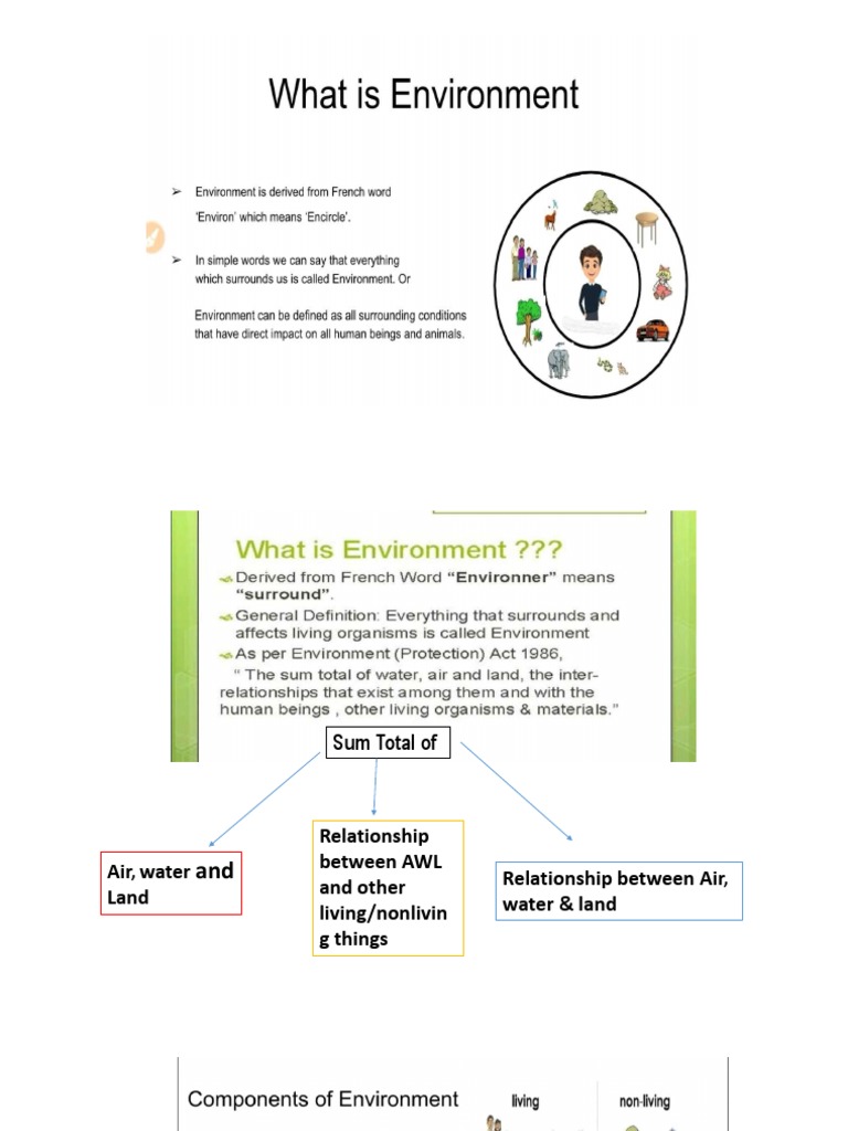 Evs Unit1 | PDF | Earth Sciences | Natural Environment