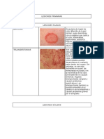 Lesiones primarias y secundarias de la piel