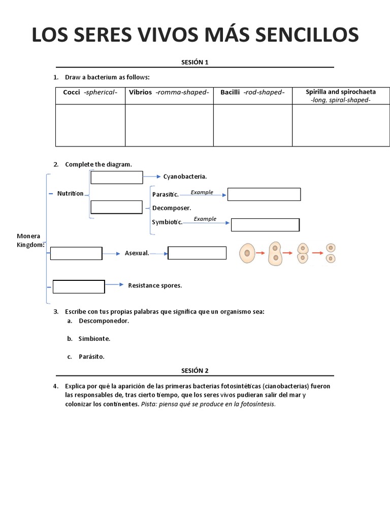 Tema 2 - Ficha de Repaso | PDF | Las bacterias | Algas
