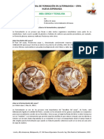 Ficha de Estudio Diciembre Tercer Grado