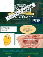 Cavidad Bucal